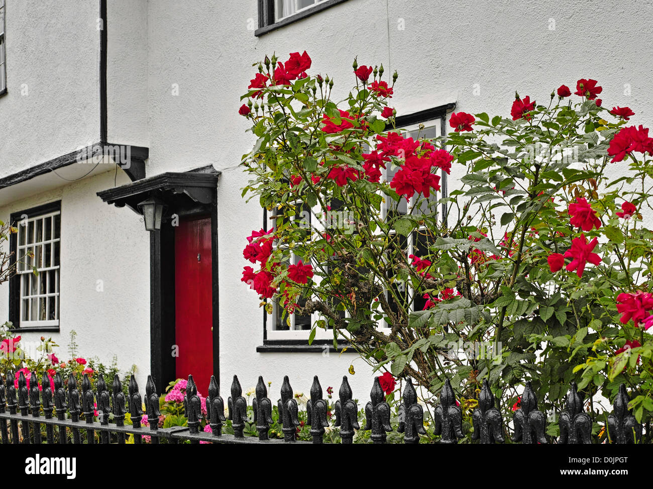 Rose rosse e un rosso dooor su un legno in houe Lindsell. Foto Stock