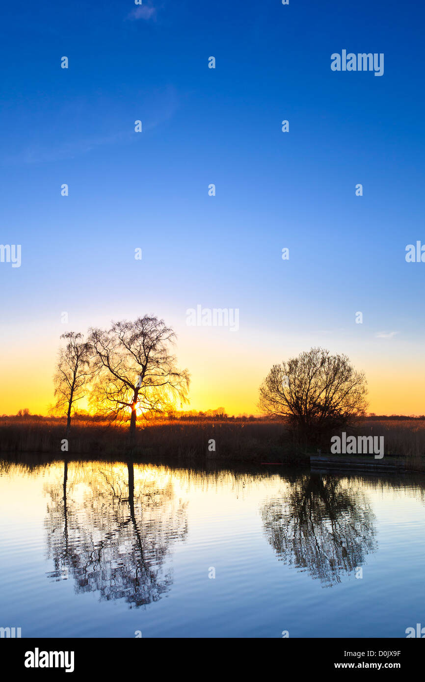 Tre alberi si riflette nel fiume Ant al tramonto. Foto Stock