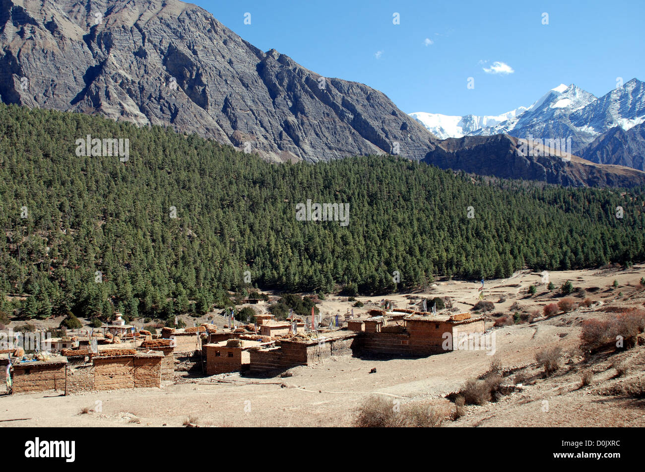 Il villaggio di Rngmo nella regione Dolpo del Nepal Foto Stock