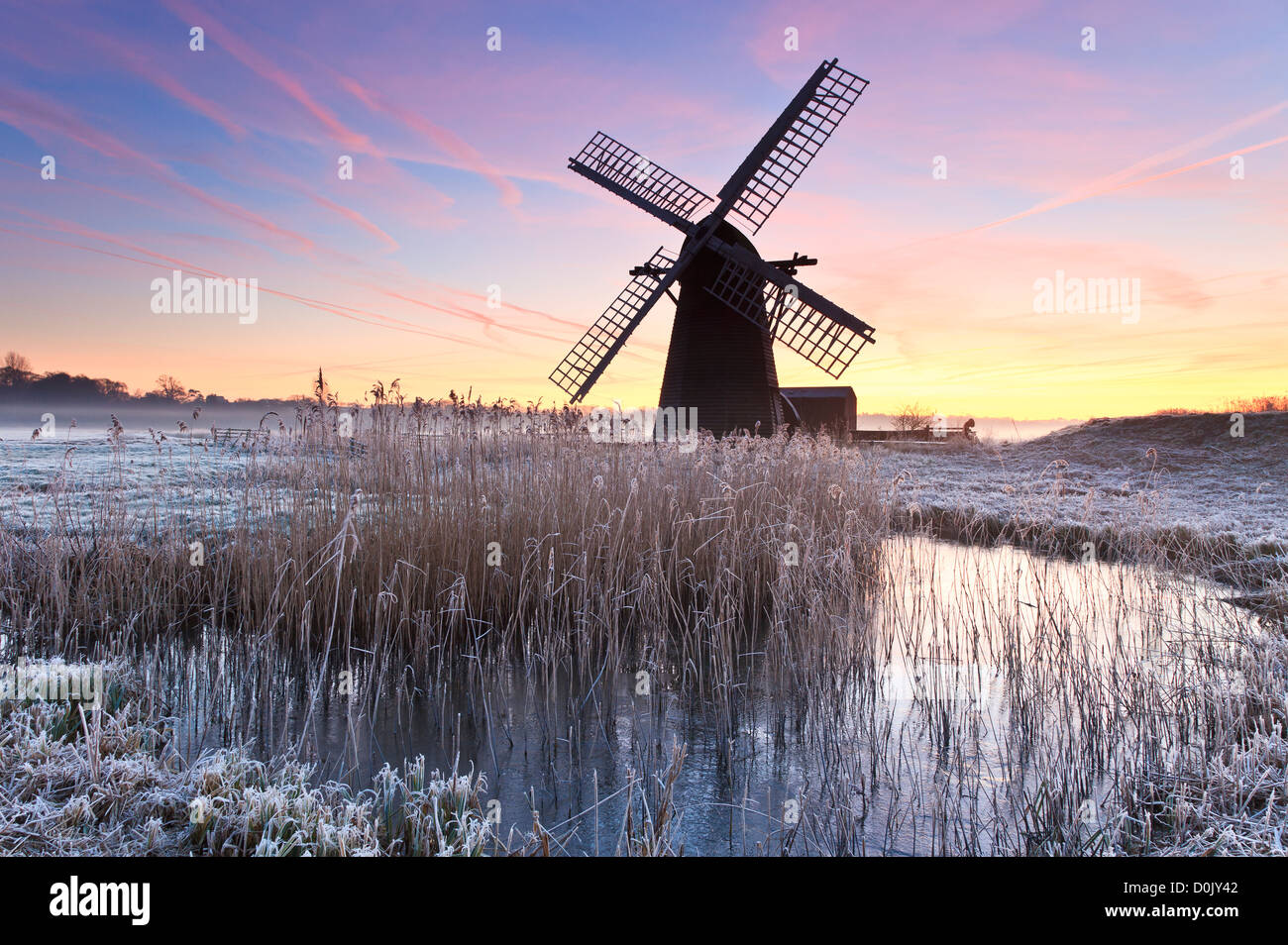 Dawn al mulino Herringfleet su un gelido inverno di mattina. Foto Stock