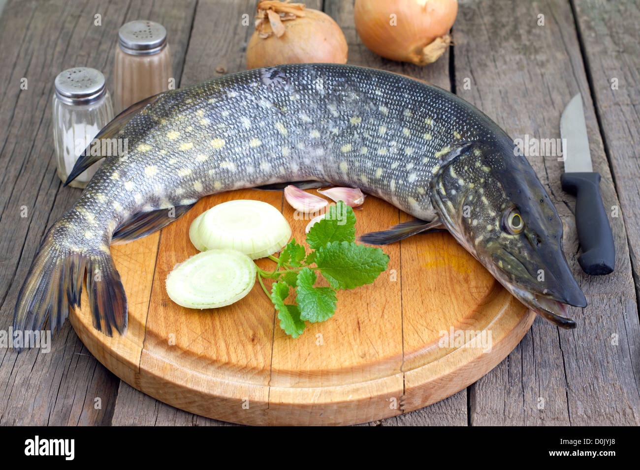 Il luccio pesce crudo preparazione per la cottura in cucina Foto Stock