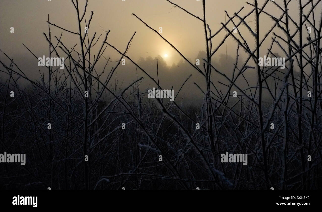 Sunrise oltre a surrey heath Foto Stock