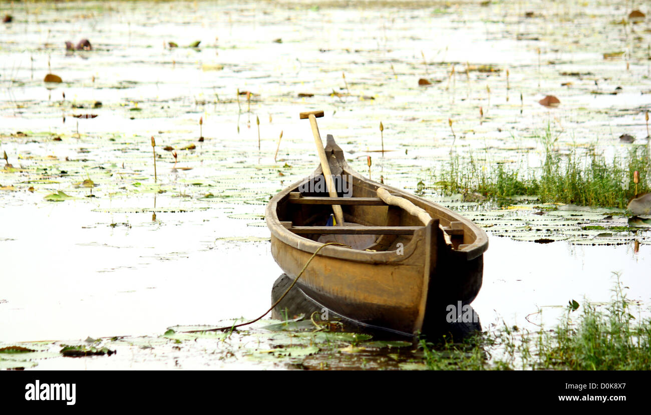 Una barca da un lago Foto Stock