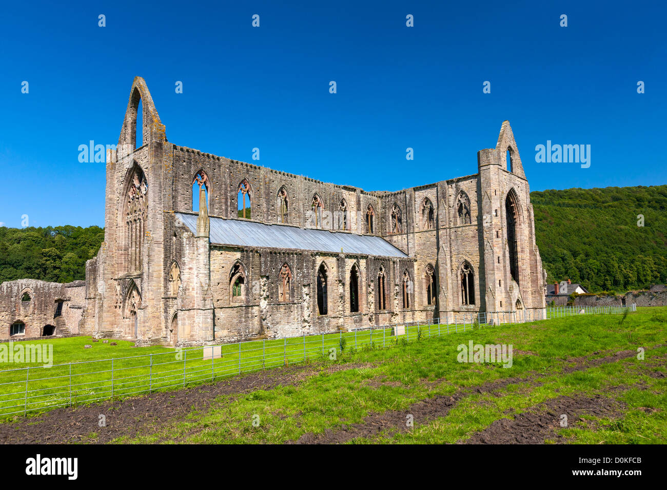 Le rovine di Tintern Abbey che è una abbazia cistercense fondata nel XII secolo da Walter de Clare. Foto Stock