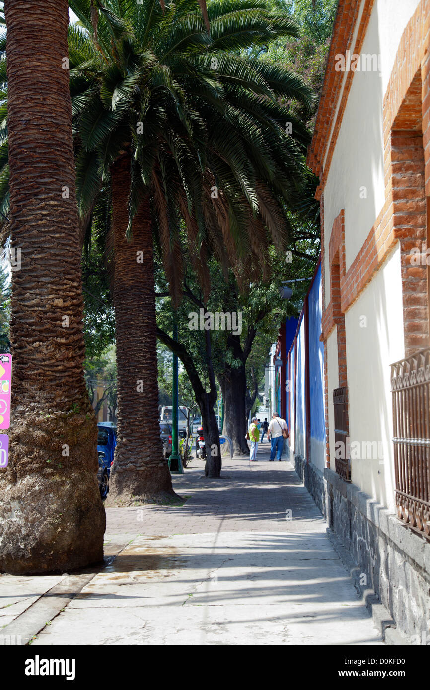 Londres pavimentazione stradale in Coyoacan in Città del Messico DF Foto Stock