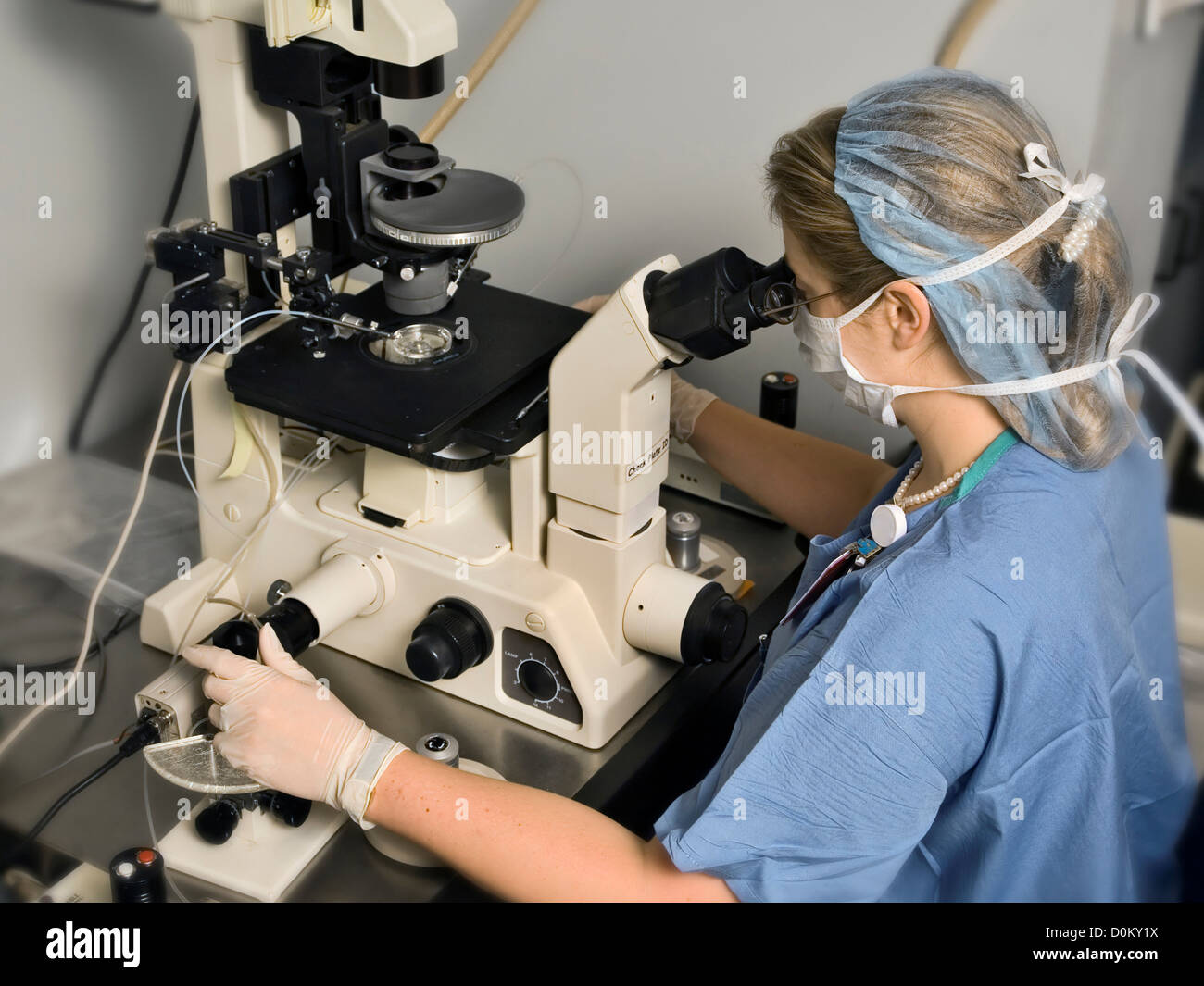 Embryologist la manipolazione delle uova Foto Stock