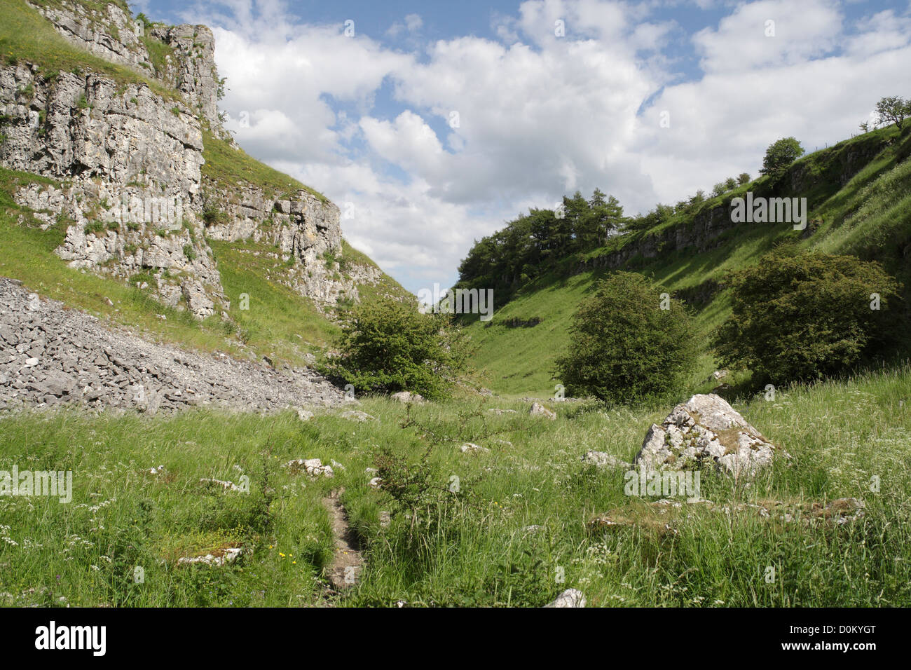 La parte superiore di Lathkill Dale nel Derbyshire Peak District National Park Inghilterra Regno Unito, campagna inglese britannico. Valle di calcare secco Foto Stock