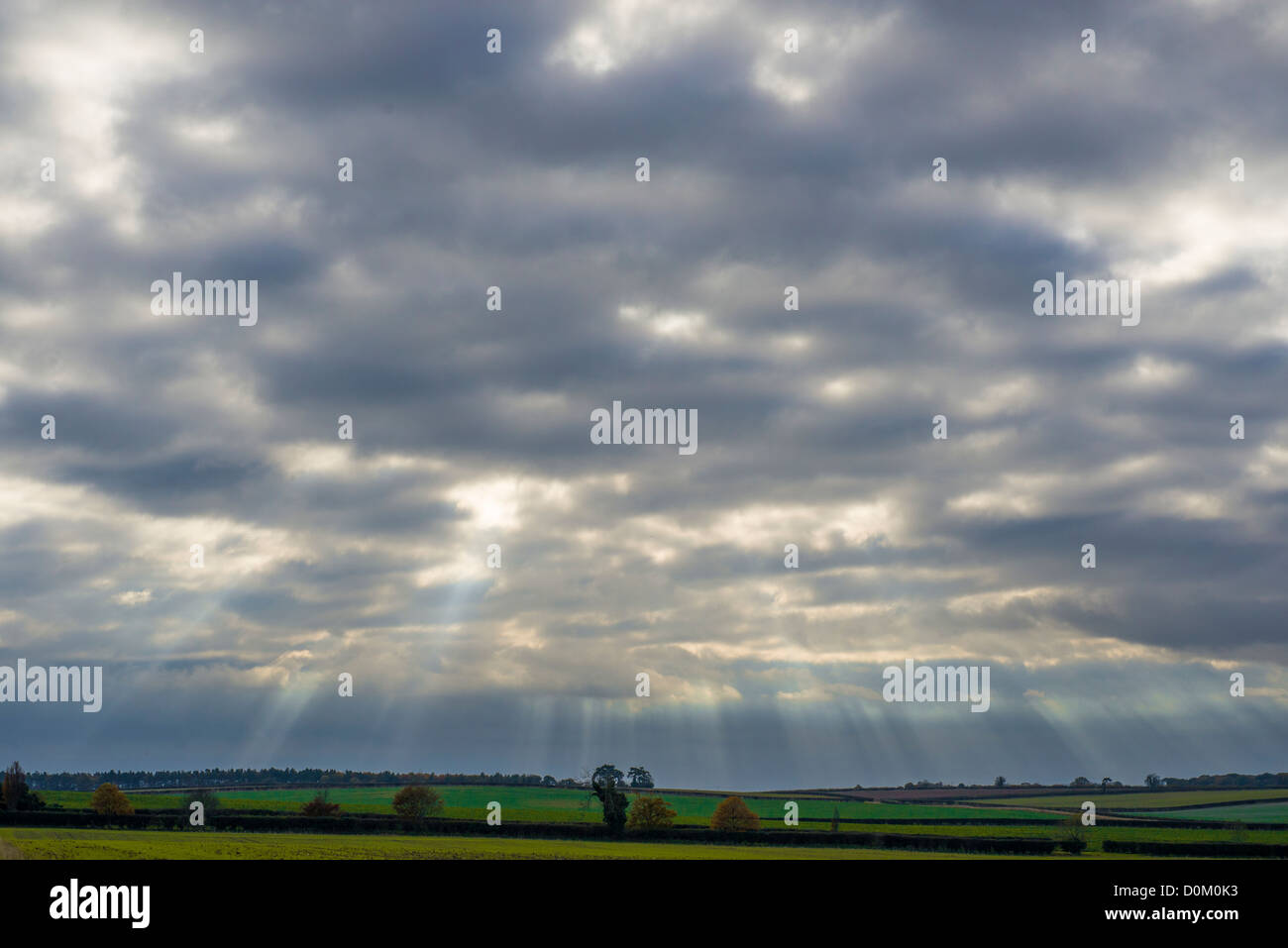 Cielo di sera su terreni agricoli con raggi di sole rompere attraverso le nuvole Foto Stock