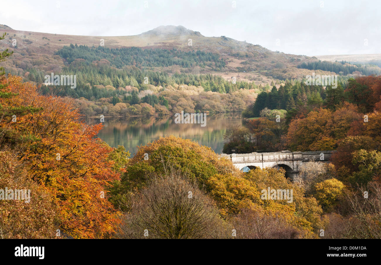 Calma autunno mattina al serbatoio Burrator, Dartmoor Devon UK Foto Stock