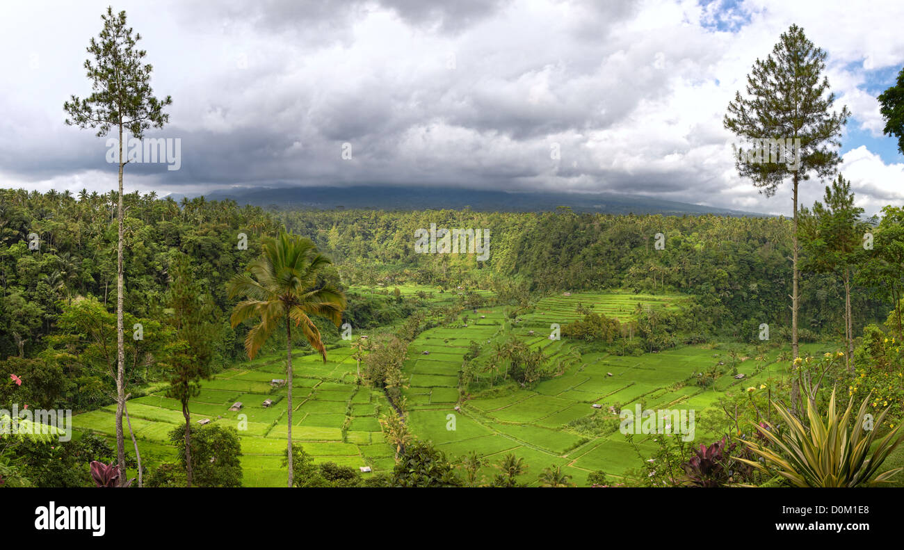 Panorama della valle con campo di riso terrazze e vista sul Monte Agung, Bali, Indonesia Foto Stock