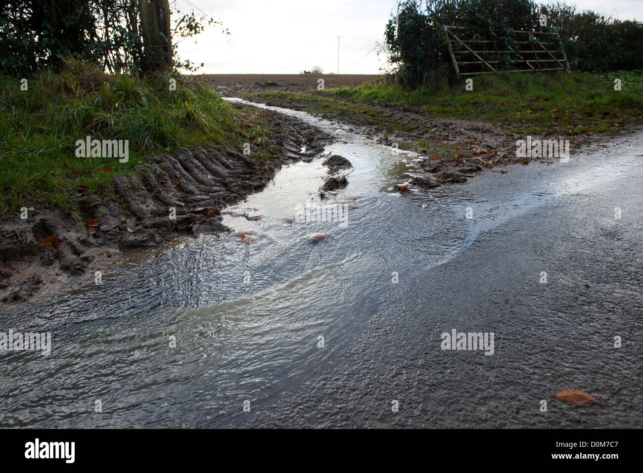 Acqua di pioggia in funzione off farmland, Norfolk, Inghilterra, Novembre Foto Stock