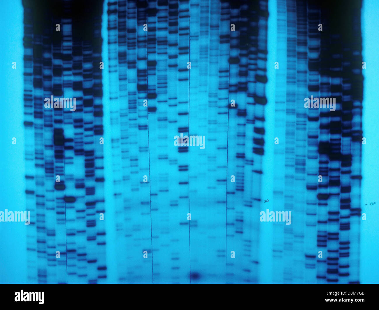 Radiografia di DNA mostra la sequenza nucleotidica Foto Stock