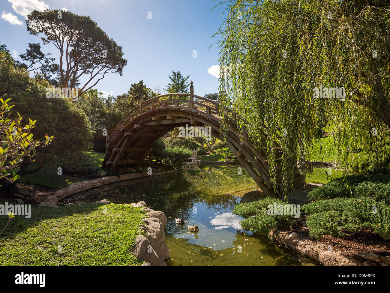 Il splendidamente rinnovato e giardini Giapponesi presso la Biblioteca di Huntington e Giardini Botanici. Foto Stock