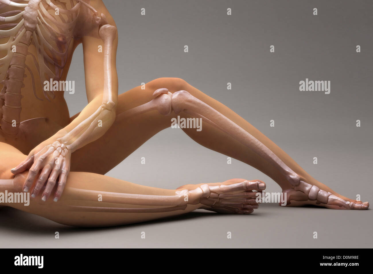 Seduta poste femmina con le ossa dello scheletro visibile. Foto Stock