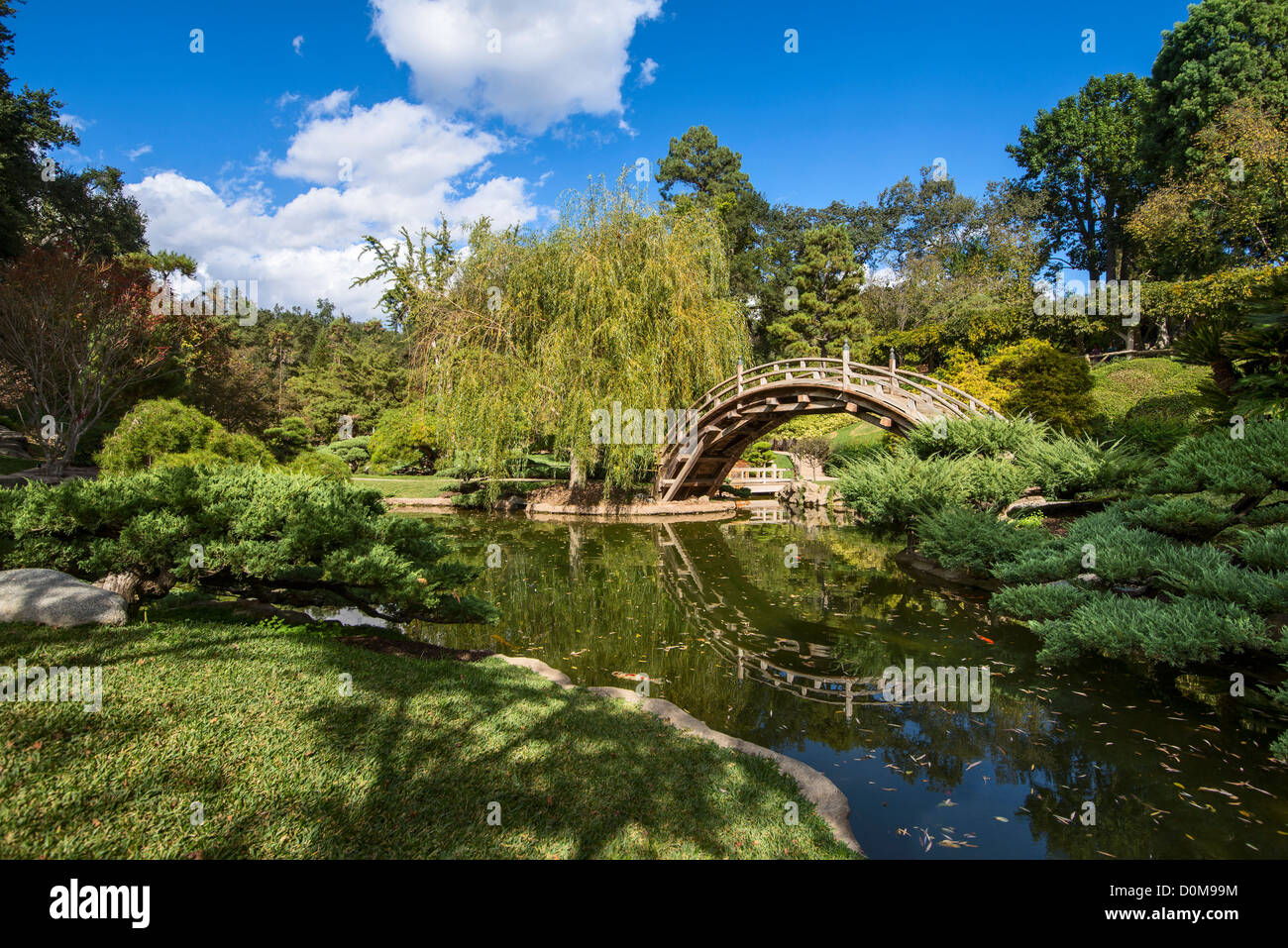 Il splendidamente rinnovato e giardini Giapponesi presso la Biblioteca di Huntington e Giardini Botanici. Foto Stock