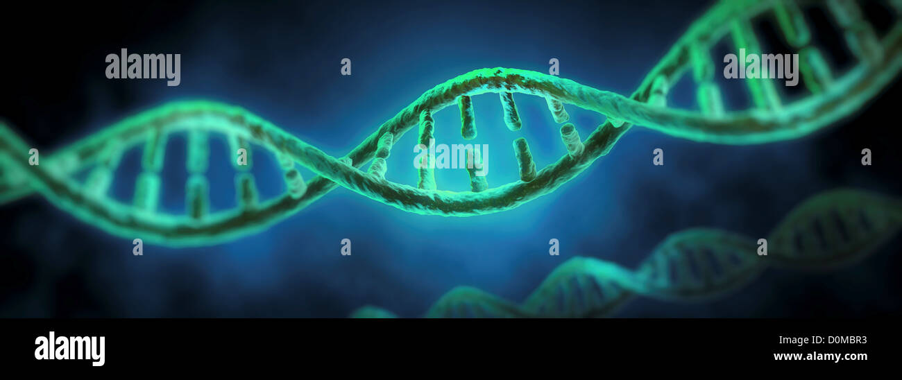 La doppia elica che mostra la complessità del DNA. Foto Stock