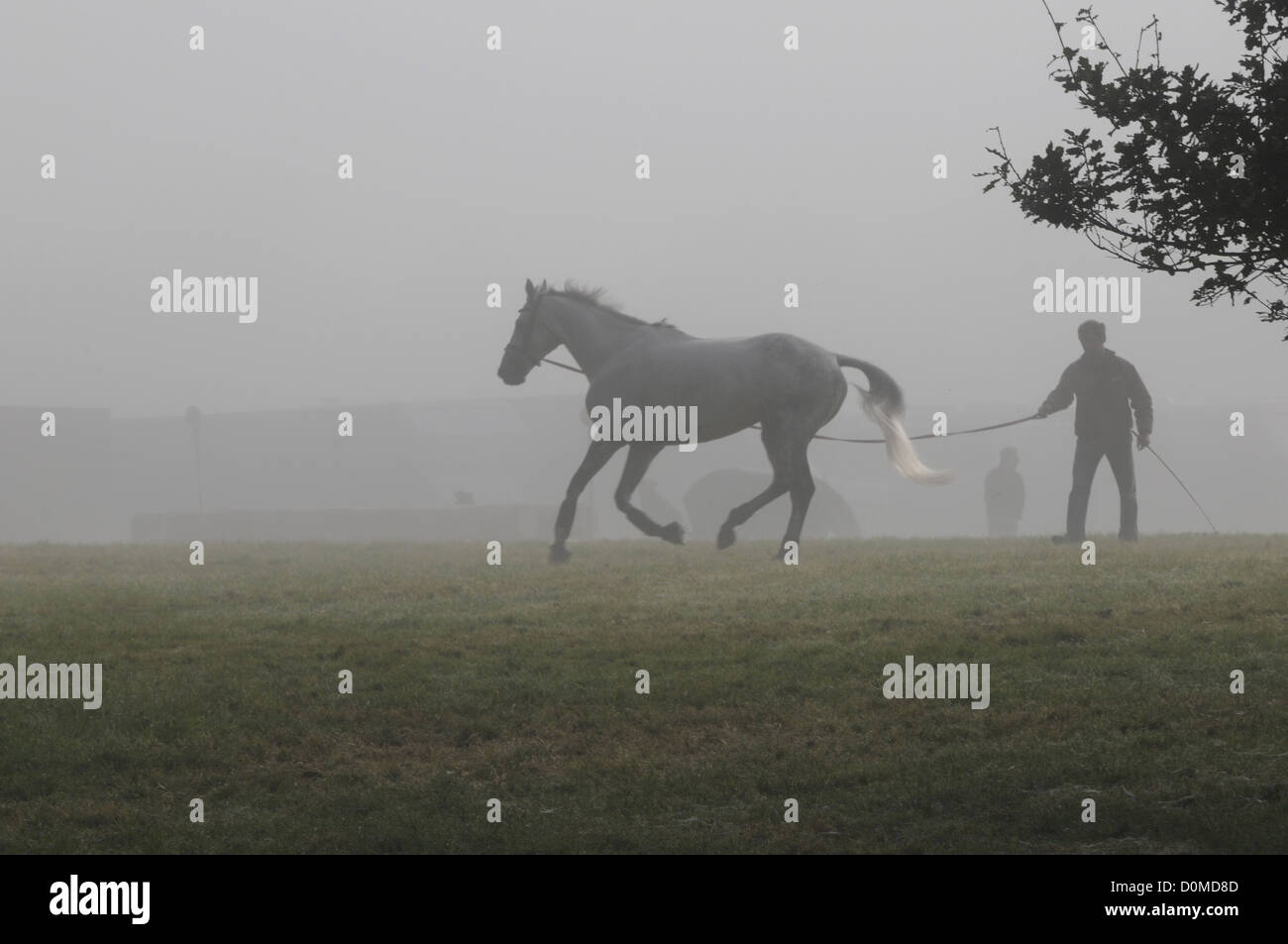 Un concorrente a Blenheim International Horse Trials 2012 balzi in avanti il loro cavallo in early MORNING MIST Foto Stock