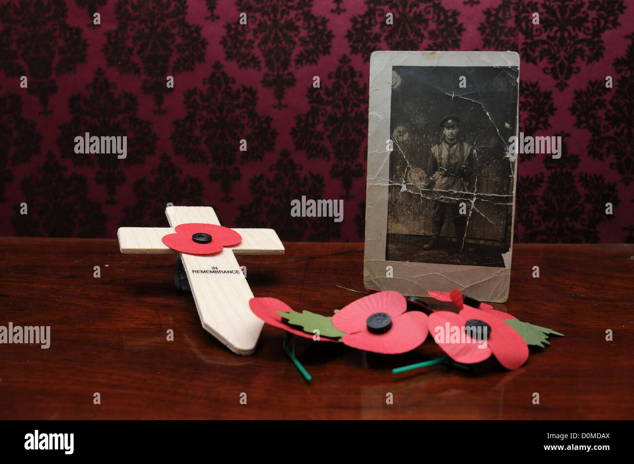 Omaggio per il Giorno del Ricordo che mostra il papavero e fotografia di WW1 veterano Foto Stock
