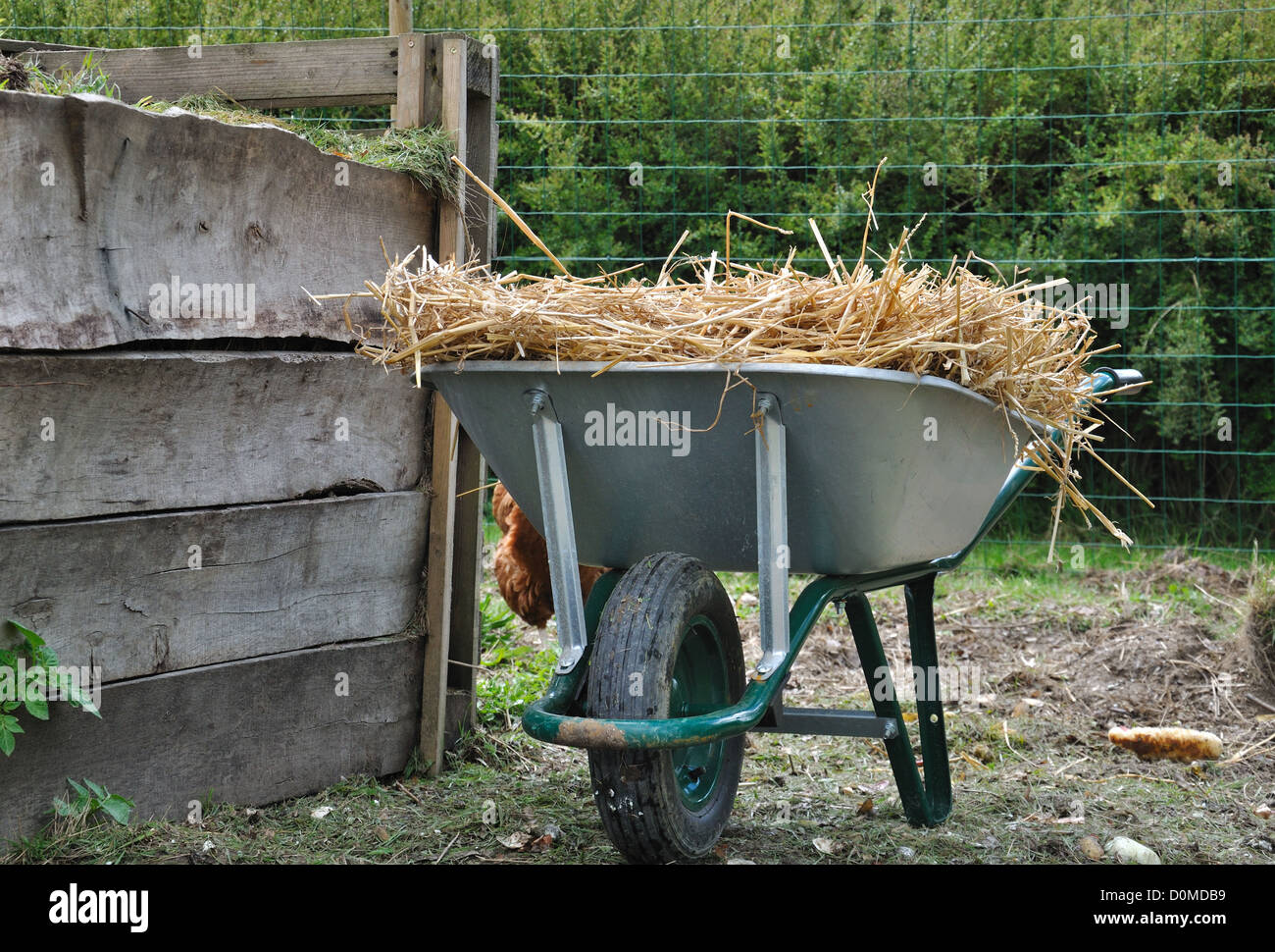 Carriola piena di paglia Foto Stock