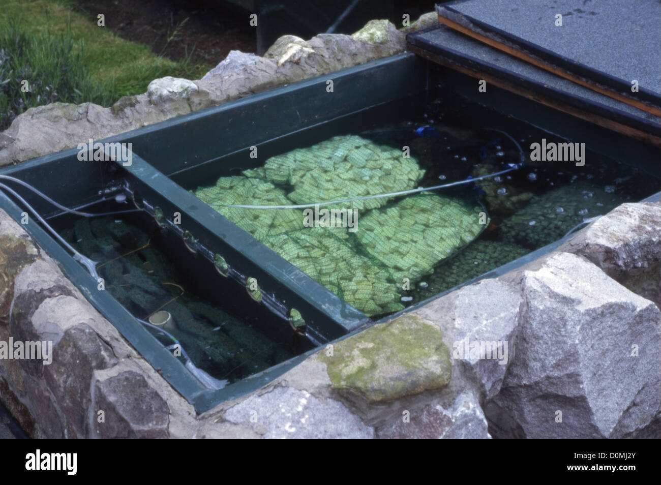 Camere del filtro per sollevato koi pond. Foto Stock