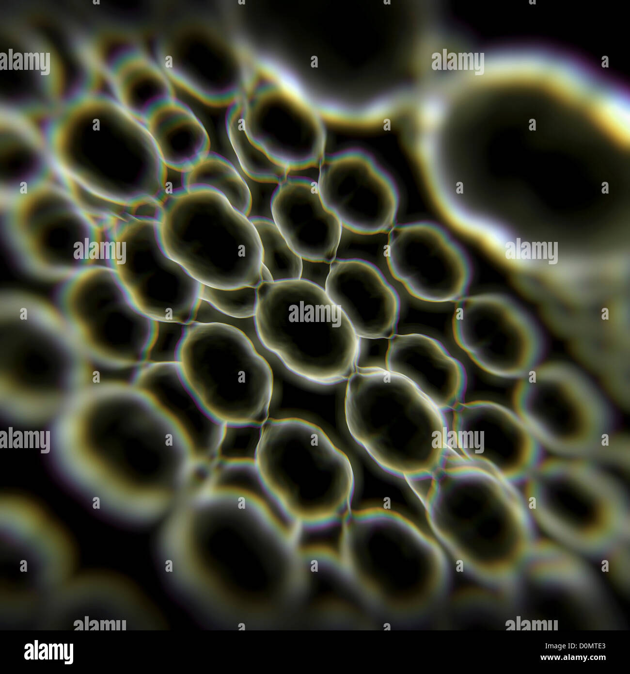 Struttura di catena di batteri streptococco. Foto Stock