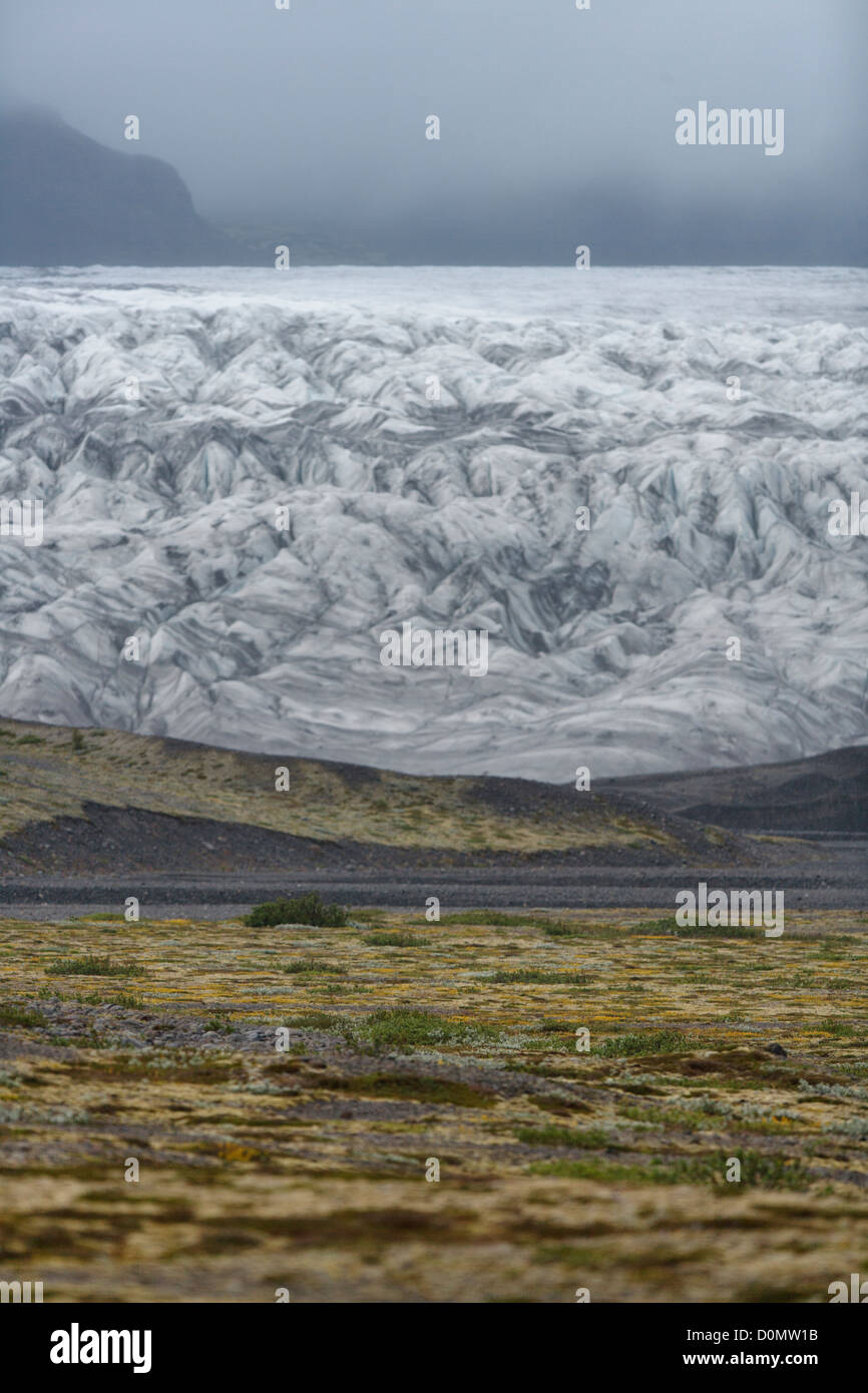 Ghiacciaio Skaftafellsjokull intestazione, lingua del ghiacciaio Vatnajökull. Skaftafell National Park. L'Islanda Foto Stock