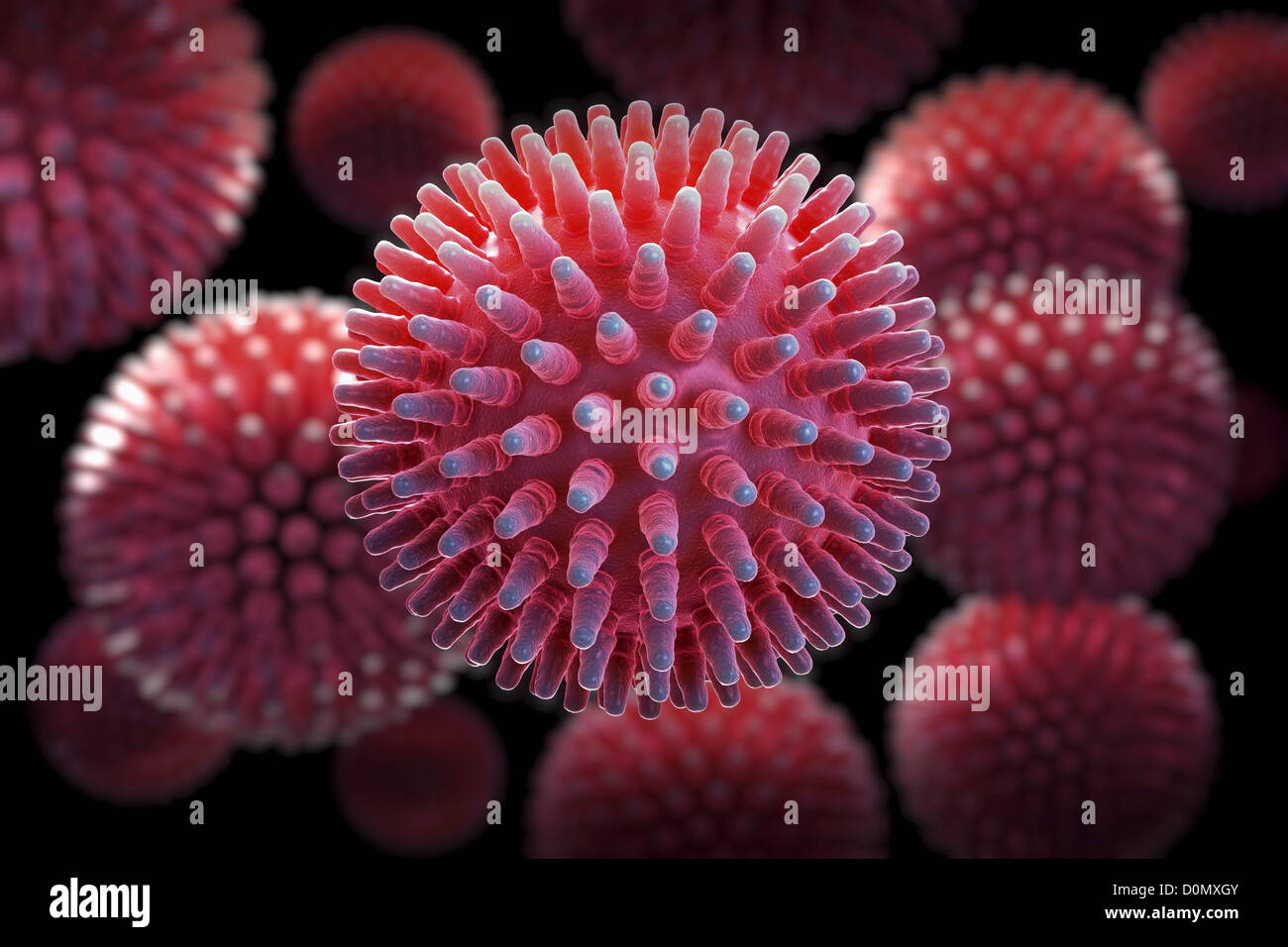 Cluster di virus H1N1 particelle. Foto Stock