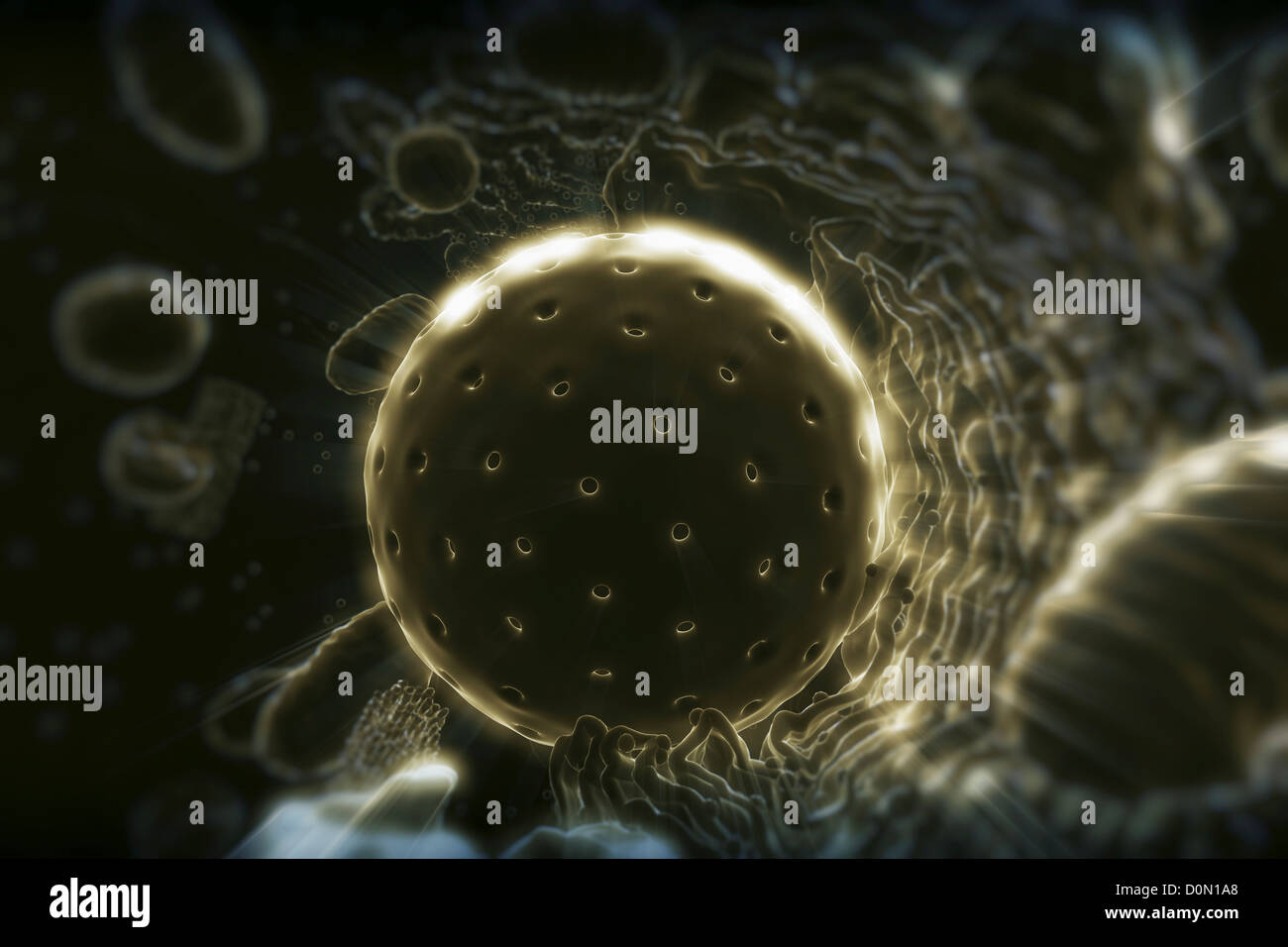 Diagramma che mostra le operazioni interne di una cellula umana. Foto Stock