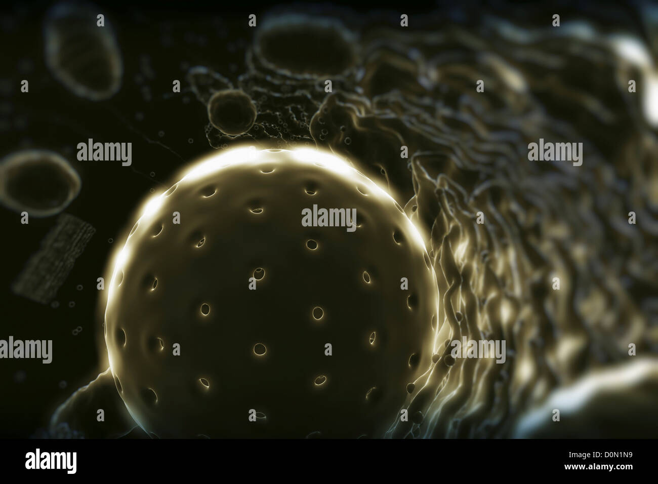 Diagramma che mostra le operazioni interne di una cellula umana. Foto Stock