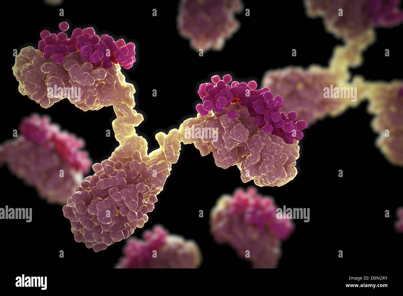 Un gruppo di anticorpi umani a forma di Y utilizzate proteine sistema immunitario difendersi da oggetti estranei come batteri virus. Foto Stock
