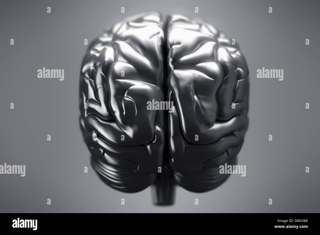 Una vista posteriore di un cervello metallico. Gli emisferi cerebrali, cervelletto e tronco cerebrale sono visibili. Foto Stock