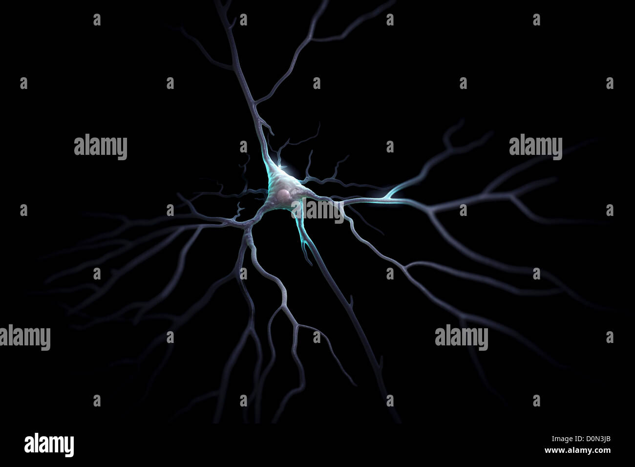 Neuroni piramidali o cellule piramidali sono di tipo neurone trovati nel cervello comprese le regioni come la corteccia cerebrale ippocampo Foto Stock