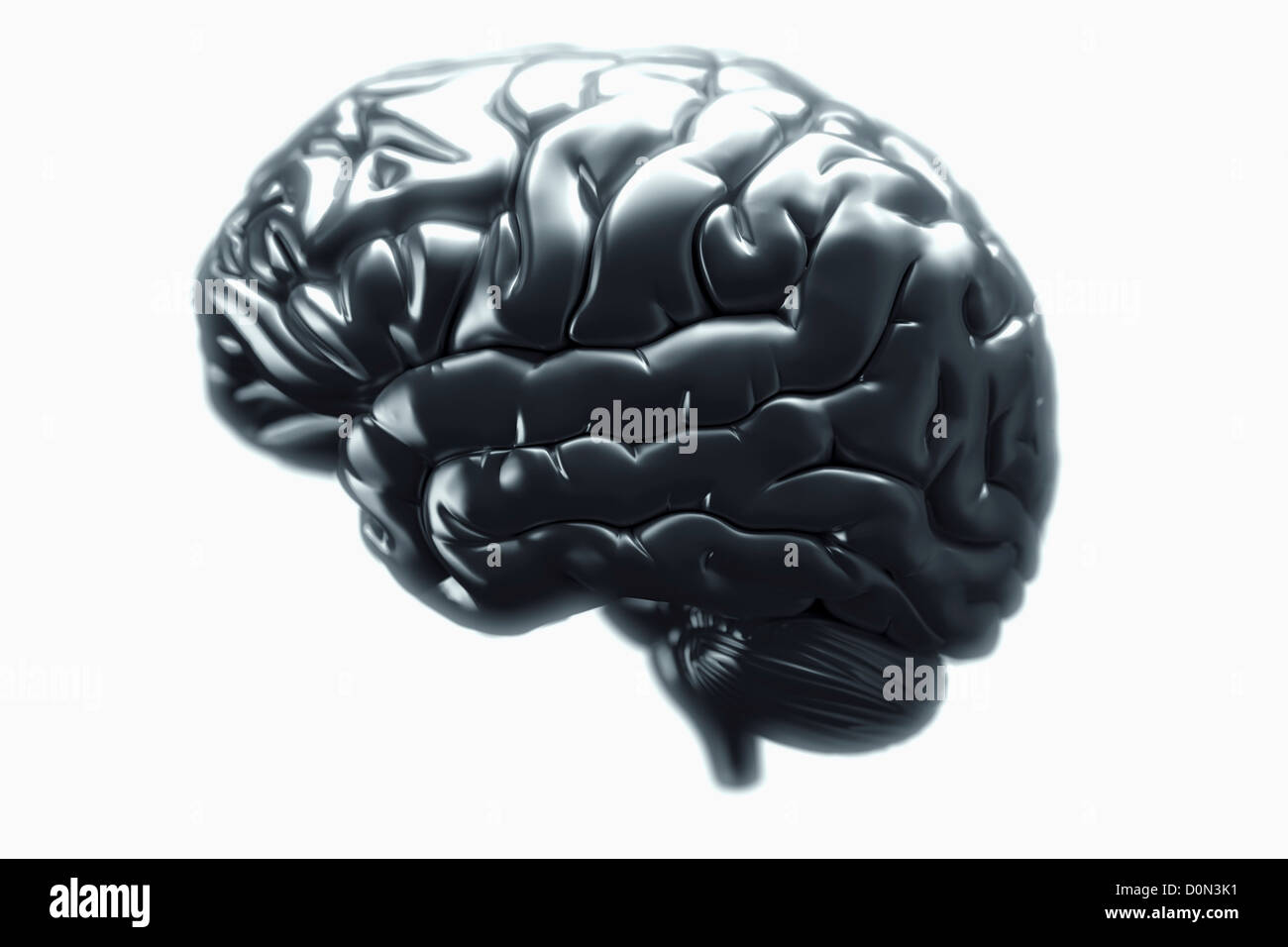 Una vista laterale di un cervello metallico. Gli emisferi cerebrali, cervelletto e tronco cerebrale sono visibili. Foto Stock