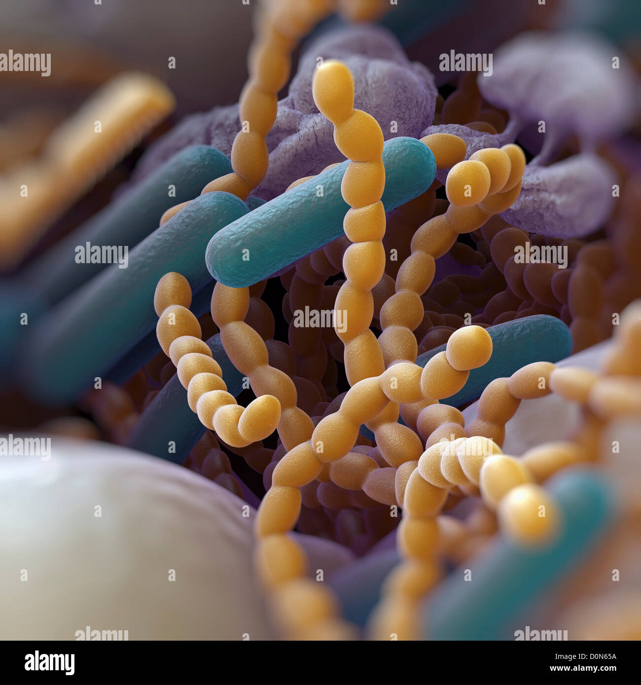 Close up di batteri presenti nella bocca e che possono causare alitosi o  alito cattivo Foto stock - Alamy