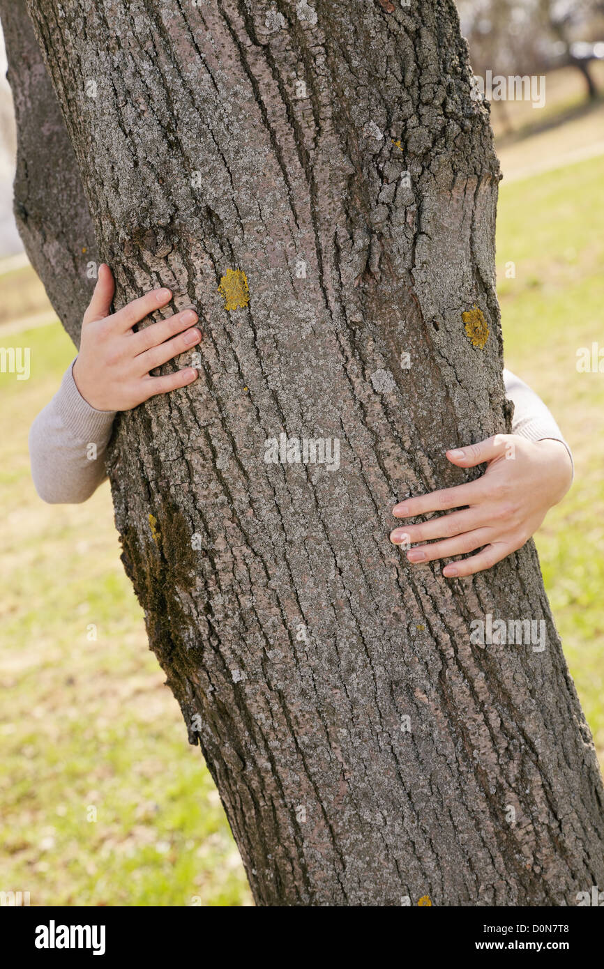 Mani abbracciando tree Foto Stock