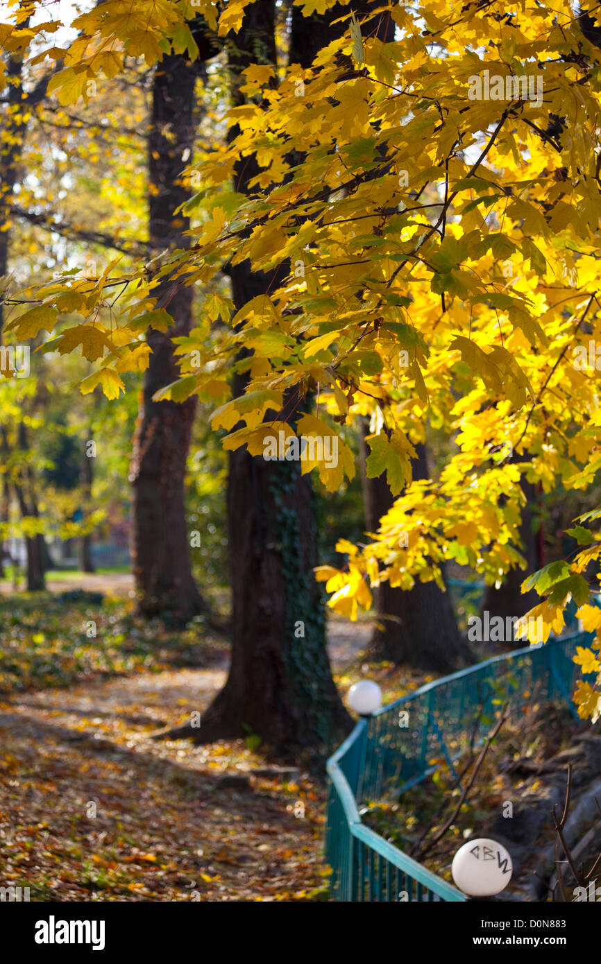 Sfondo di caduta da Varna, Bulgaria Foto Stock