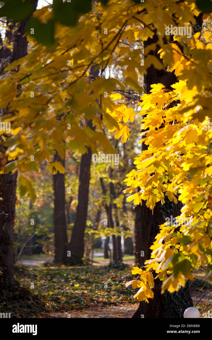 Sfondo di caduta da Varna, Bulgaria Foto Stock