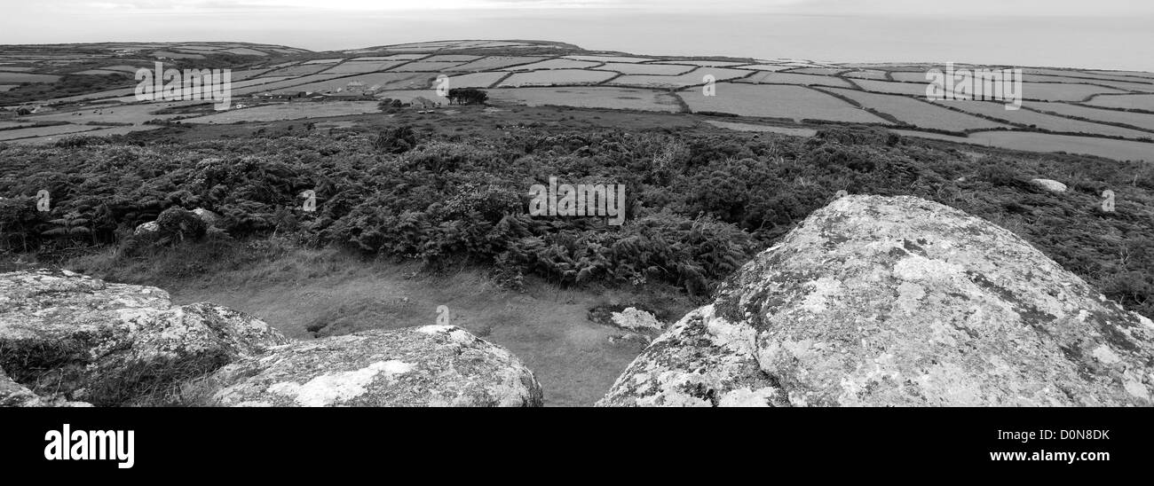 Vista su ginestre ed erica Erica, Carn Naun punto, St Ives town, St Ives Bay, Cornwall County; Inghilterra; Regno Unito Foto Stock