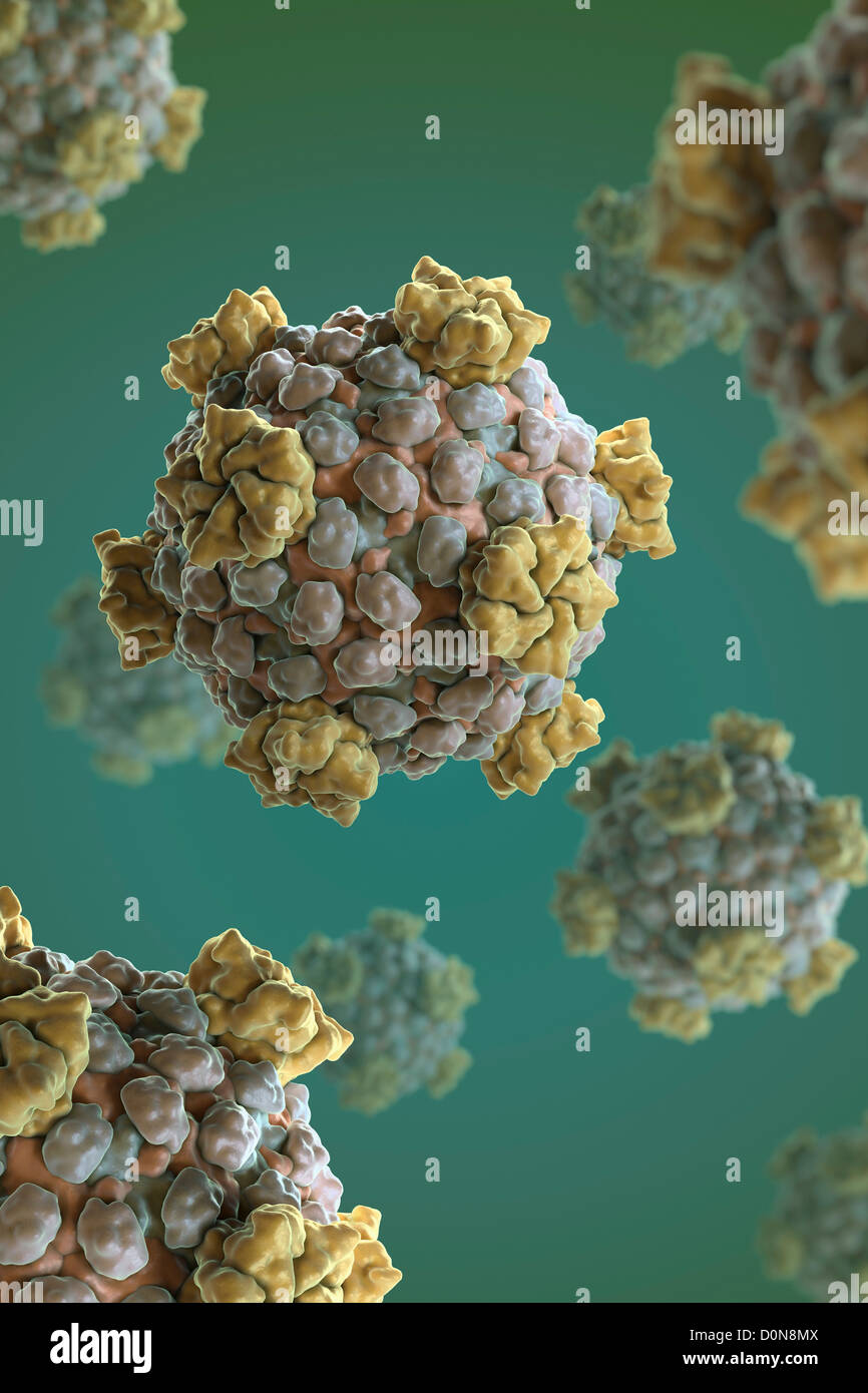 Struttura nucleo reovirus (PDB 1EJ6) che sintetizza modifica le esportazioni RNA messaggero virale. L'infezione da reovirus si verifica frequentemente Foto Stock
