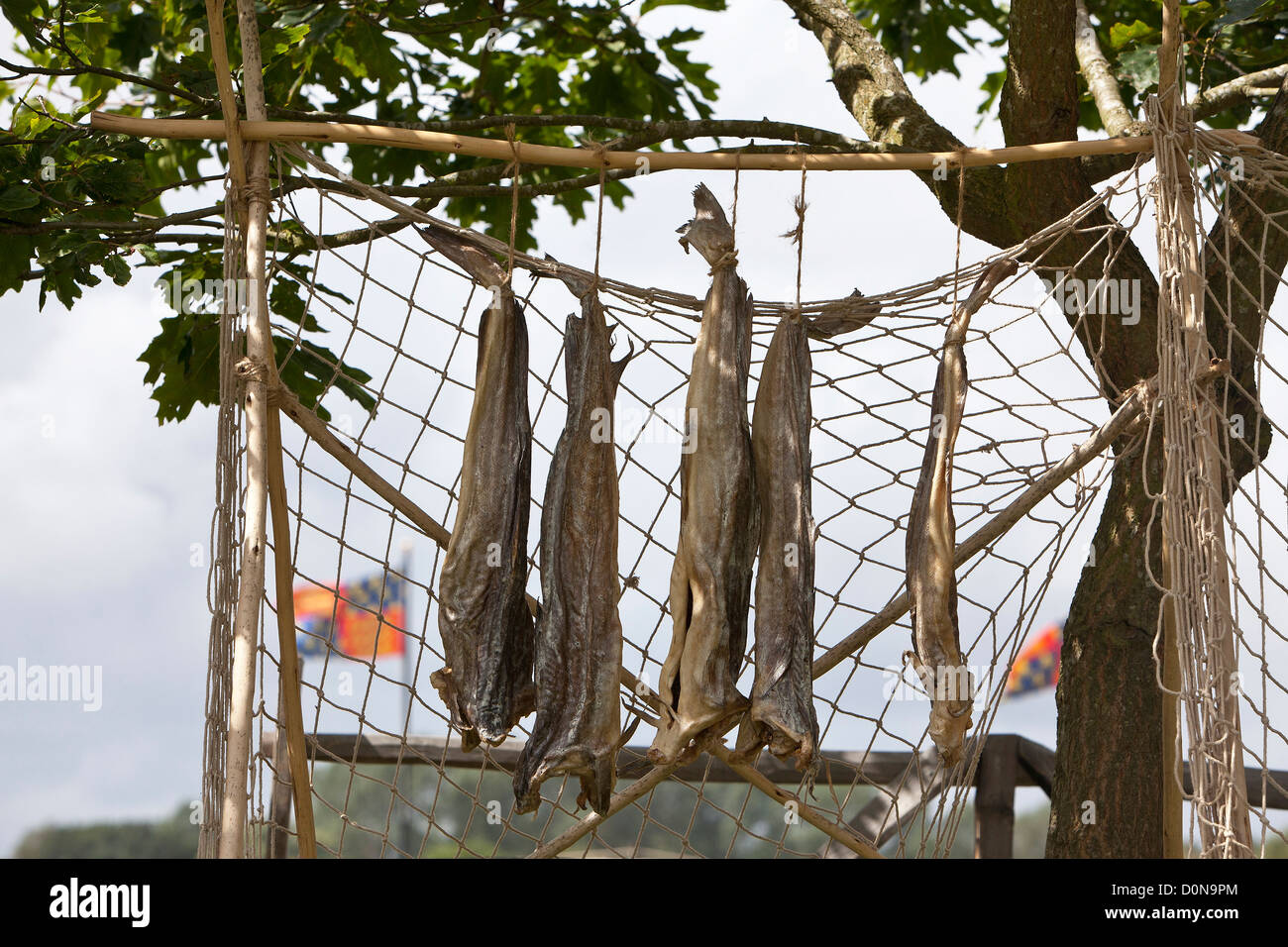 Fumare pesce aringhe all'aperto Foto Stock