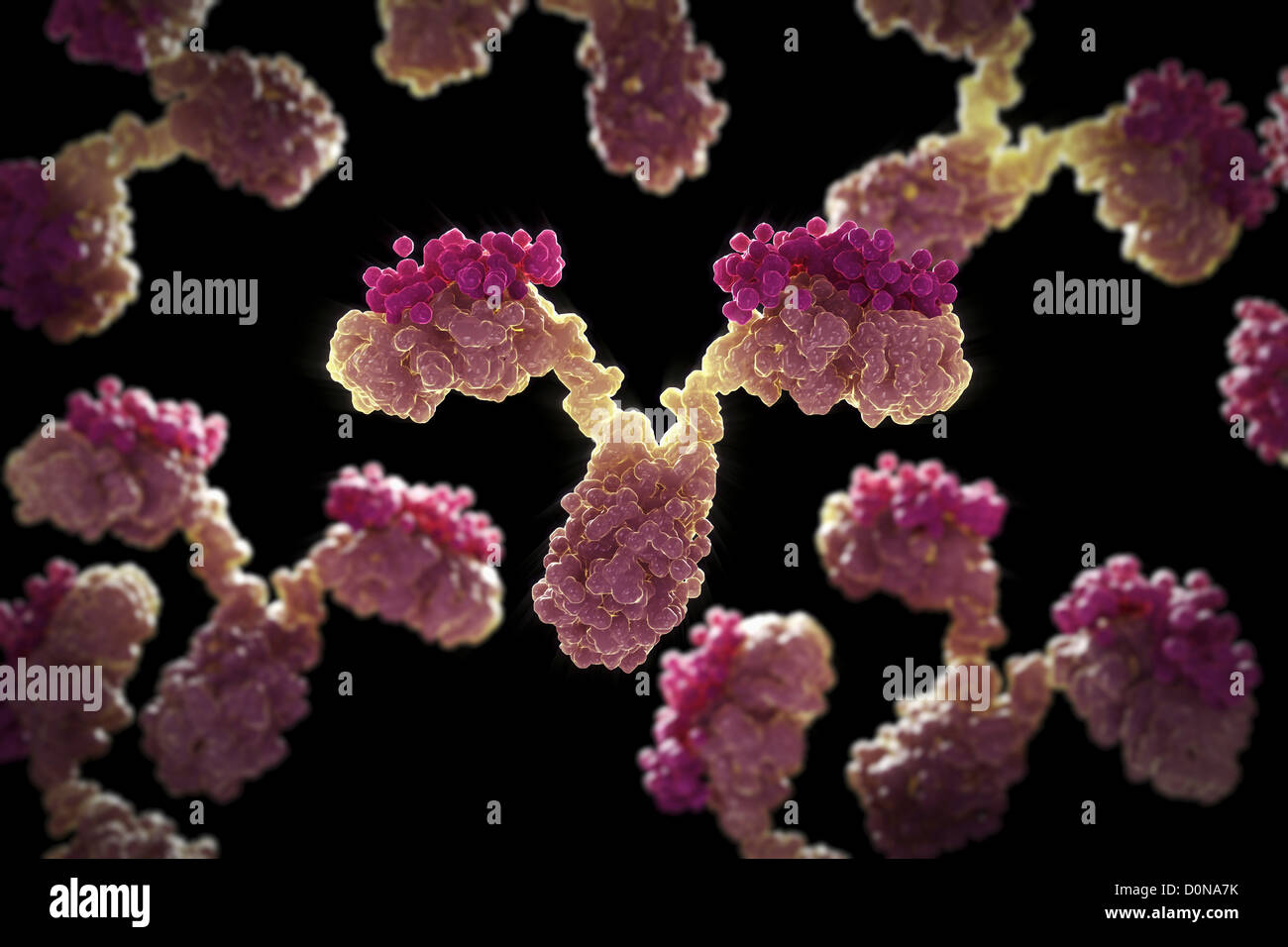 Un gruppo di anticorpi umani a forma di Y utilizzate proteine sistema  immunitario difendersi da oggetti estranei come batteri virus Foto stock -  Alamy