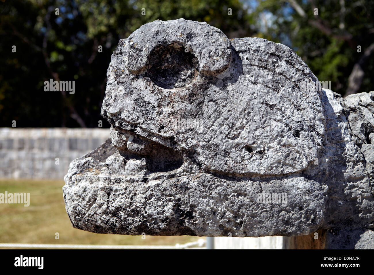 Pietra testa di serpente a grande campo per il gioco della palla a Chichen Itza utilizzato per giocare la partita di baseball Mesoamerican. Foto Stock