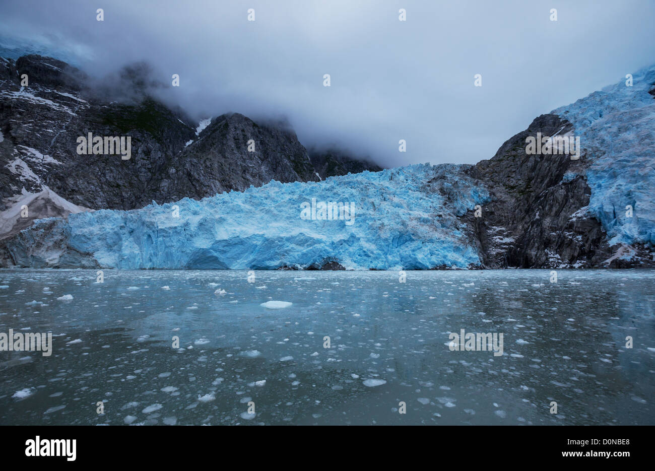 Vista panoramica del Glacier Bay in Alaska Foto Stock