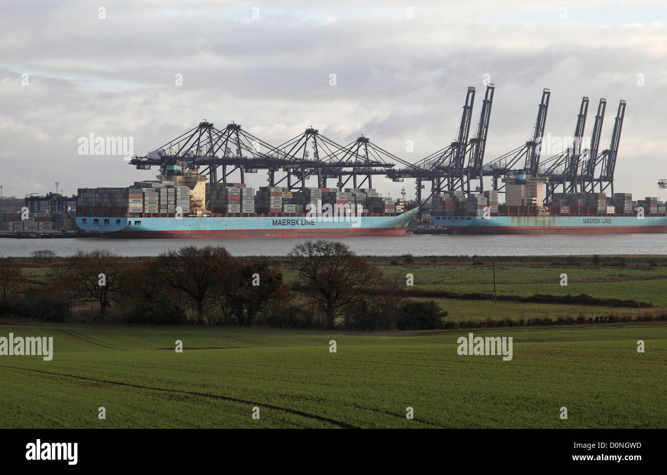 Visualizzare attraverso i campi verso il contenitore di carico delle navi nel porto di Felixstowe, Suffolk, Regno Unito il più grande porto di contenitore Foto Stock