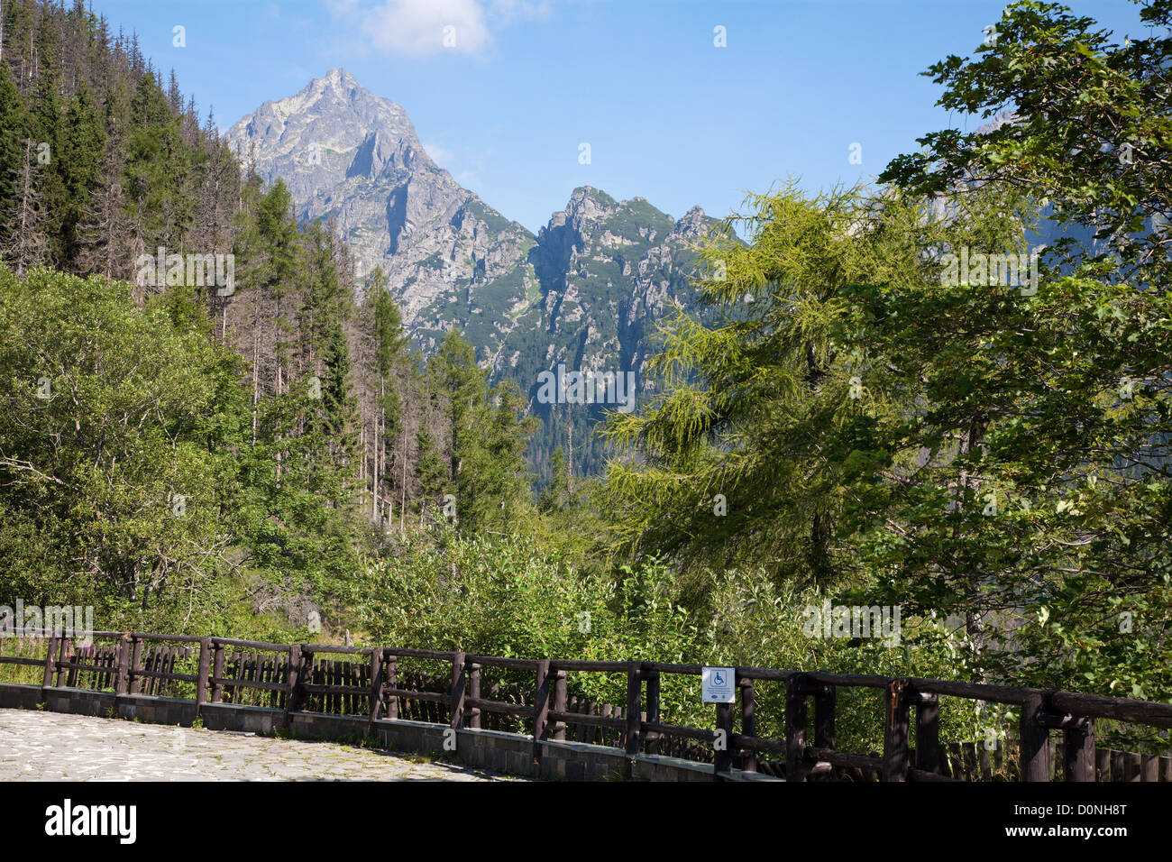 Alti Tatra - Prostredny hrot peak da Hrebienok Foto Stock