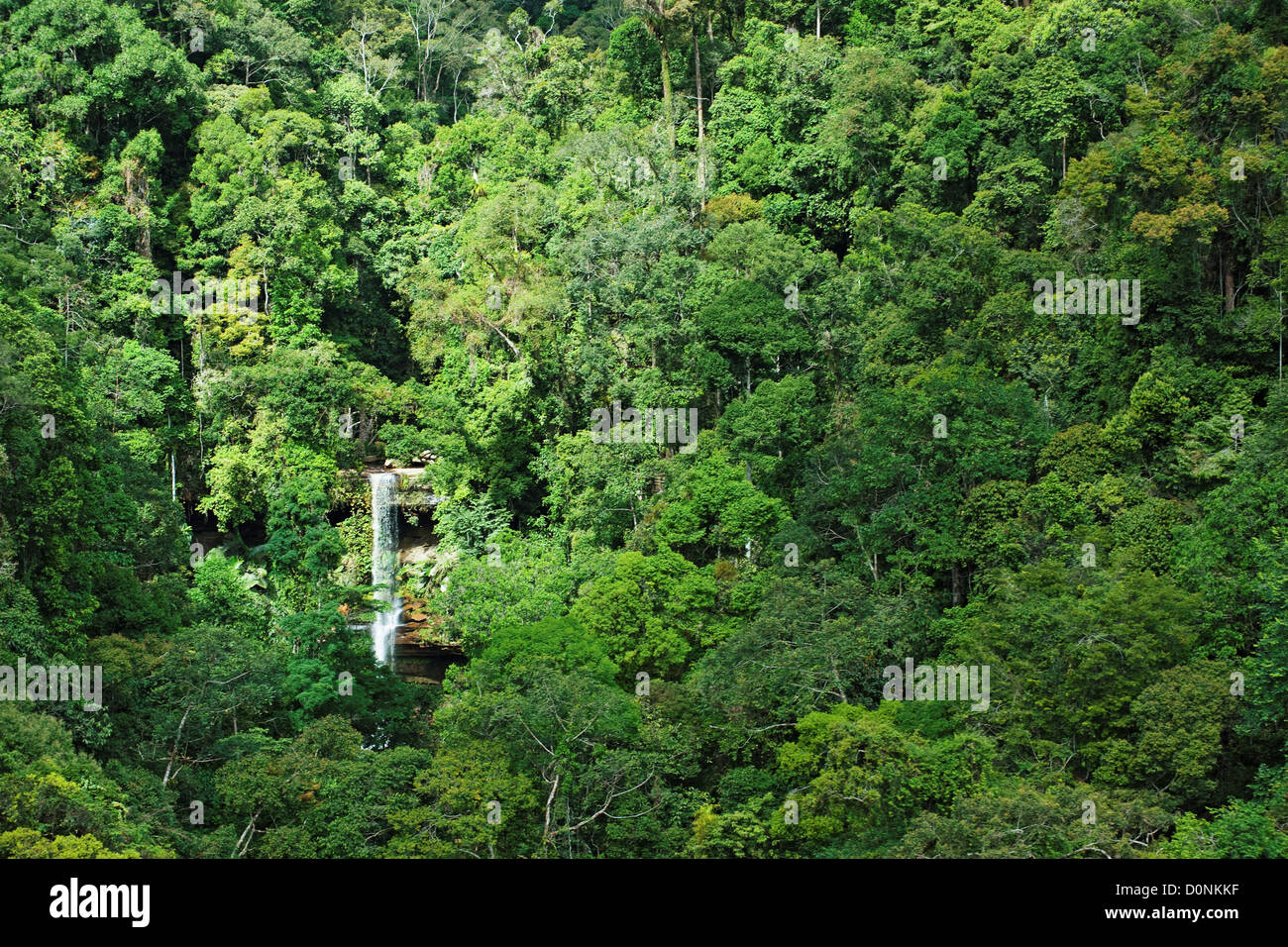 Una veduta aerea della cascata Takob-Akob nel Maliau Basin, Sabah Borneo Malesia orientale. Foto Stock