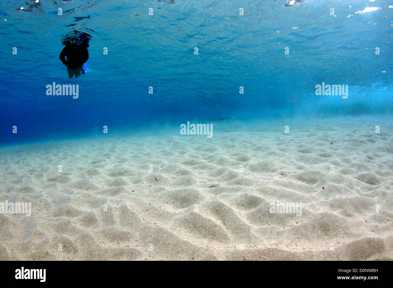 Snorkeler gode di acque cristalline vicino alla costa, Makua Beach, Oahu, Hawaii, STATI UNITI D'AMERICA Foto Stock