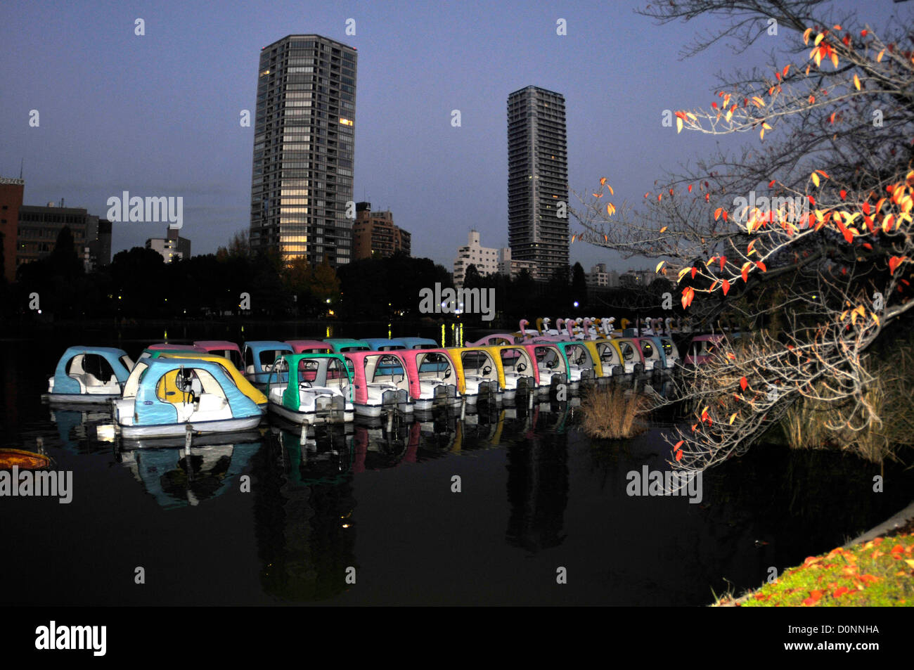 Barche a pedali all'alba, Shinobazu pond, il parco Ueno, Tokyo, Giappone Foto Stock