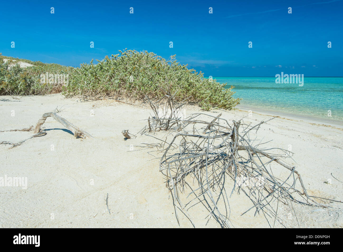Vista da una bella spiaggia tropicale su una remota isola deserta con boccole Foto Stock
