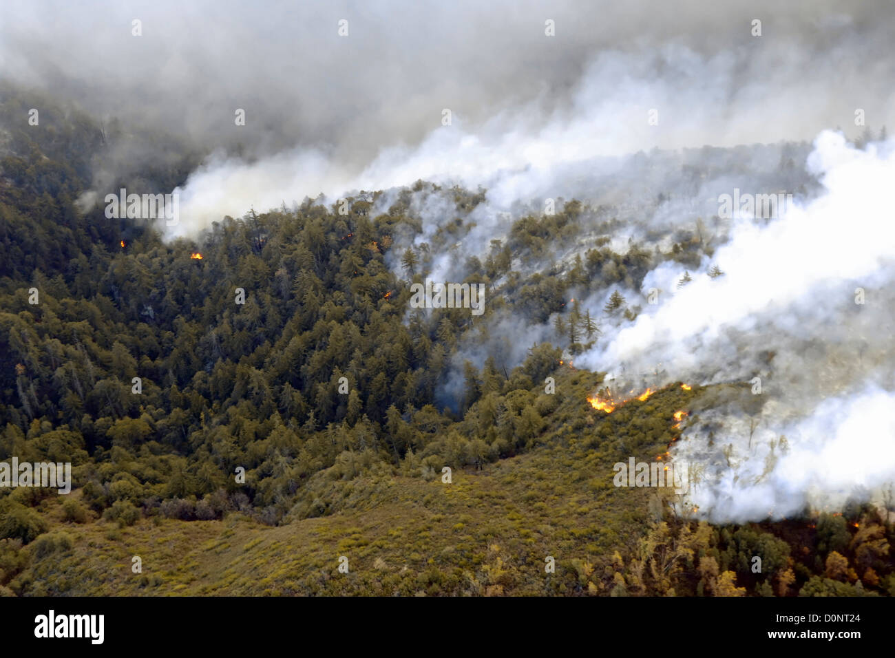 Masterizzazione di incendi Foto Stock